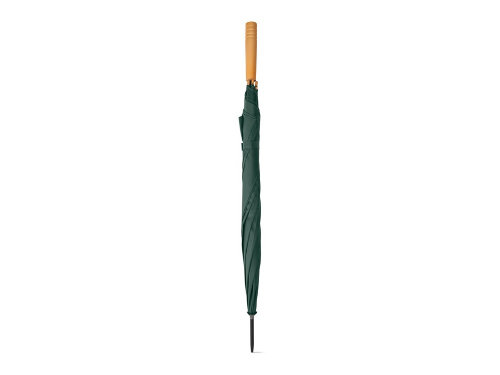 APOLO. Зонт с rPET, темно-зеленый