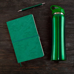 Набор подарочный SUNSHINE: бутылка для воды, бизнес-блокнот, ручка, коробка со стружкой, зеленый (зеленый)